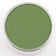 PanPastel Chrom.Oxide Green 660.5
