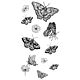 Sizzix Clear Stamp Set Nature Butterflies 13pcs C 