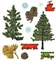 Framelits Die w/Stamps by 49 and Market A5 Pine Holidays (16+5pcs) (666711)