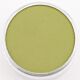 PanPastel Bright Yellow Green Shade 680.3