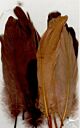 Veren bruin mix 12,5-17,5 cm 15 ST