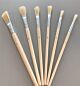 Penselen set brislon 6x plat 6 ST 