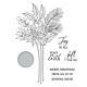 Spellbinders Poinsettia Stems Press Plate & Die Set (BP-203)