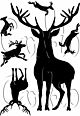 Card-io Combinations Stately Stag A6 Clear Stamp Set