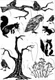 Card-io Combinations Winter Woodland A6 Clear Stamp Set