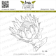 Lesia Zgharda Design Stamp Protea 