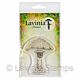 Lavinia Stamps Forest Inn