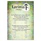 Lavinia Stamps Dill & Sage Words Stamp