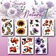 Studio EELZ Clear Stamps complete Collectie (7 clear stamps) Secrets of Nature 1