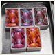 Skrim Watercolors set Royal Shifters Watercolor Set