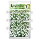 Lavinia Stamps Ivy  Lavinia Stencils