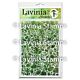 Lavinia Stamps Pebble  Lavinia Stencils
