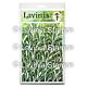 Lavinia Stamps Flora  Lavinia Stencils