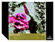 Rembrandt Acrylverfpapier 24 x 32 10 vellen 400 g