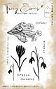 Tracy Evans Nature's Beauty A6 Stamp (TE031)  
