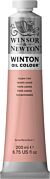 Winsor & Newton Winton Oil Colour 200ml Pale Rose Blush