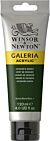 Winsor & Newton Galeria Acrylic Colour 120ml Hooker's Green