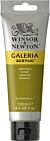Winsor & Newton Galeria Acrylic Colour 120ml Green Gold