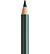 Kleurpotlood FC Polychromos 165 juniper green  