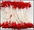 meeldraadjes 1 mm rood 144 stuks