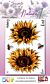 Studio EELZ Clear Stamps Secrets of Nature 1 Striking Sunflower