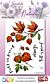 Studio EELZ Clear Stamps Secrets of Nature 1 Pretty Physalis