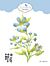 ECD Die Paper Flowers Garden Party Wild Flower 2
