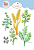 ECD Spring Awakening Die Floral Greenery 3