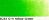 Old Hollands Classic Oilcolours tube 40ml Old Holland Yellow-Green   