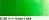Old Hollands Classic Oilcolours tube 40ml Old Holland Green Light  