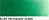 Old Hollands Classic Oilcolours tube 40ml Permanent Green    