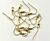 Oor haakjes fish hook goud 12 ST