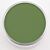 PanPastel Chrom.Oxide Green Shade 660.3