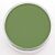 PanPastel Chrom.Oxide Green 660.5