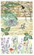 Sizzix Studio Clear Stamps w/Stencils by Vic Hollins Nature