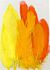 Veren geel oranje mix 12,5-17,5 cm 15 ST