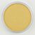 PanPastel Metallic Light Gold 910.5