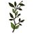 Memory Box Magnolia Leaf Branch craft die   