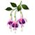 Memory Box Delicate Fuchsia Trio craft die   