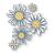 Memory Box Fringe Flowers craft die    