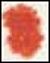 Derwent Coloursoft Potlood Blood Orange