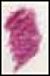 Derwent Coloursoft Potlood Deep Fuchsia