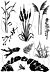 Card-io Still Waters A6 Combinations Clear Stamp Set