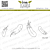 Lesia Zgharda Design photopolymer Stamp Set Feathers (small) 