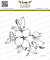 Lesia Zgharda Stamp Cherry blossom contour