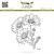 Lesia Zgharda Stamp A bouquet of chamomile flowers