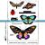 Katzelkraft Metamorphosis Butterflies - A5 rubber stamp
