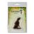 Lavinia Stamps Lupin Silhouette 