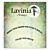 Lavinia Stamps Bridge Your Dreams Stamp 