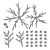Spelbinders Queen Anne's Lace and Ladybugs Etched Dies 